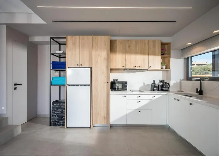 Aida Luxury 别墅 赫索尼索斯